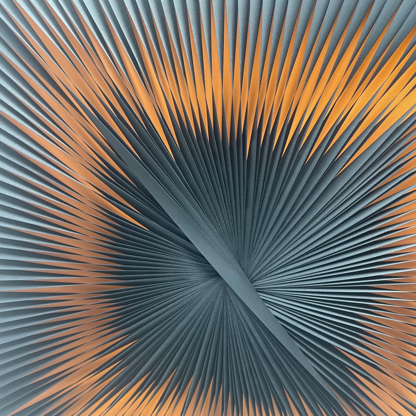 Fabric Fusion | Cinder Halo