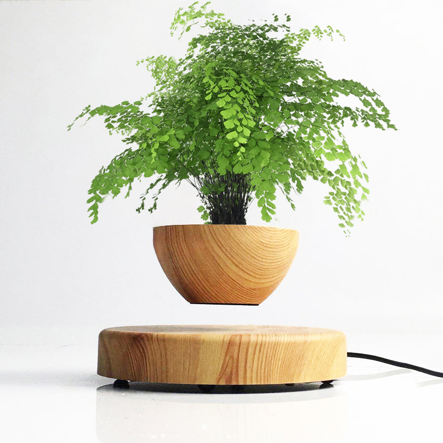 LANGTU Magnetic Levitating Flower Pot