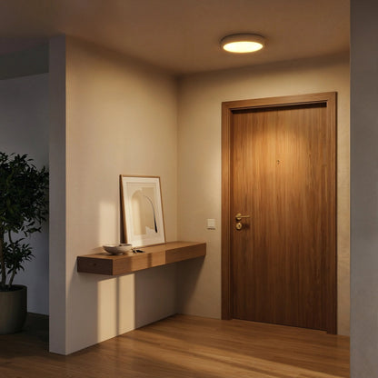 Lunar Ring Travertine Ceiling Light