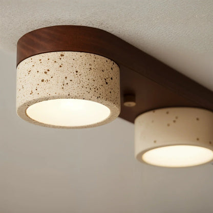 Sierra Stone Spotlight Ceiling Light