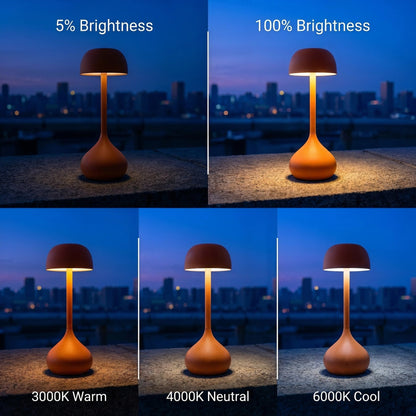Radix Architectural Desk Lamp