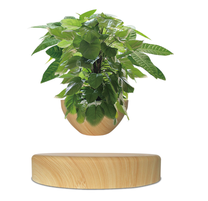 LANGTU Magnetic Levitating Flower Pot