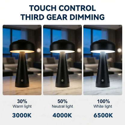 Hush Cordless Conical Lamp