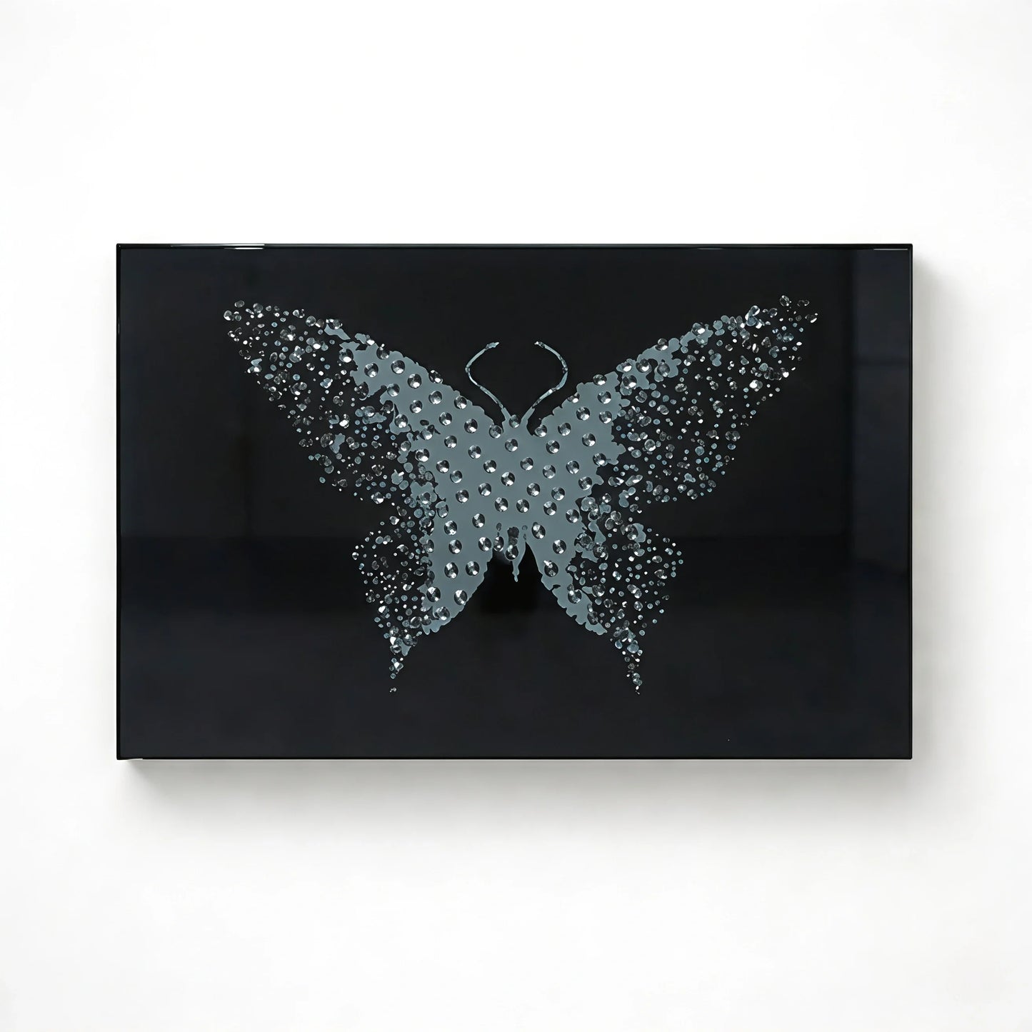 Midnight Metamorphosis