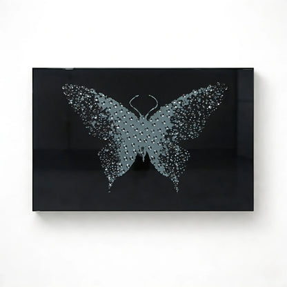 Midnight Metamorphosis