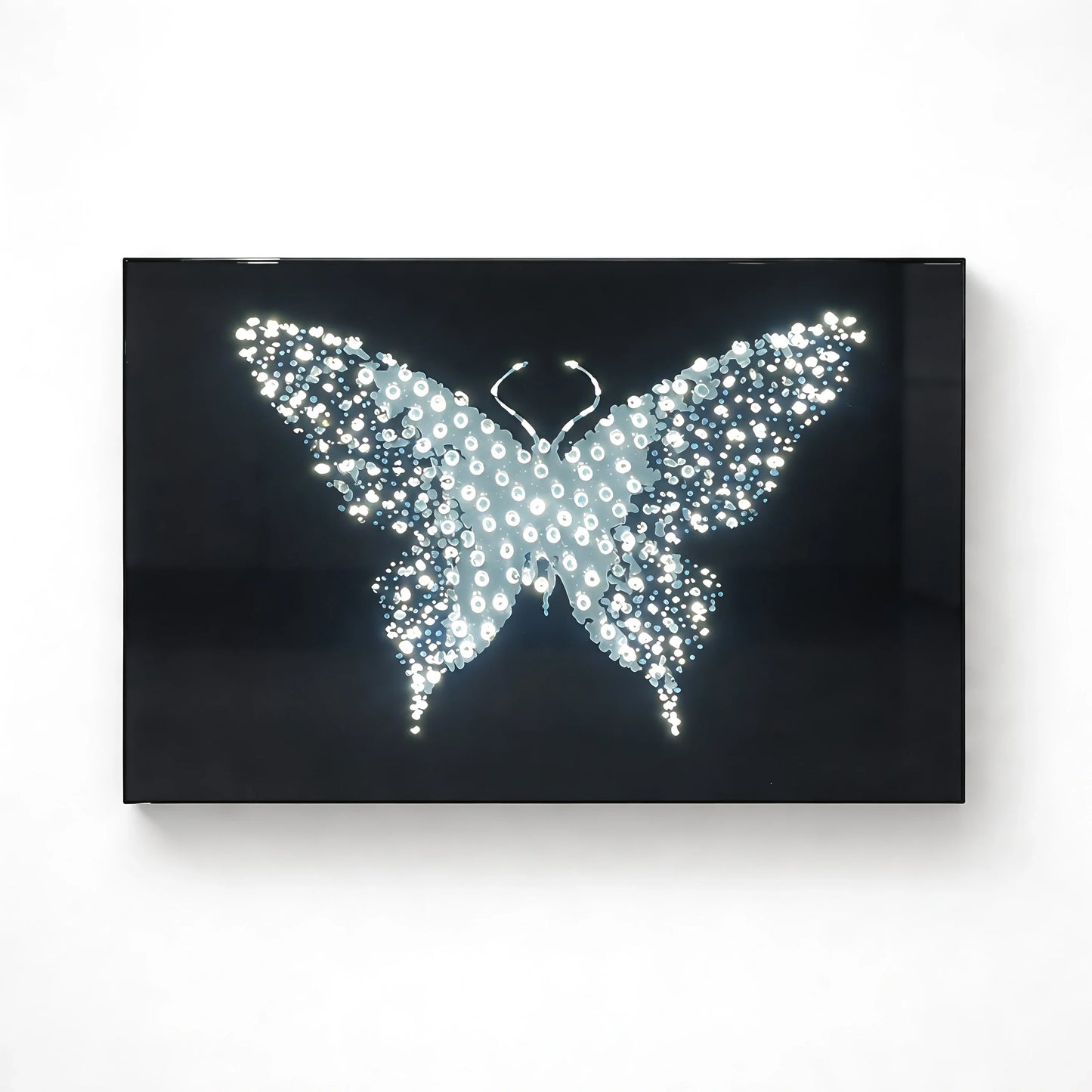 Midnight Metamorphosis