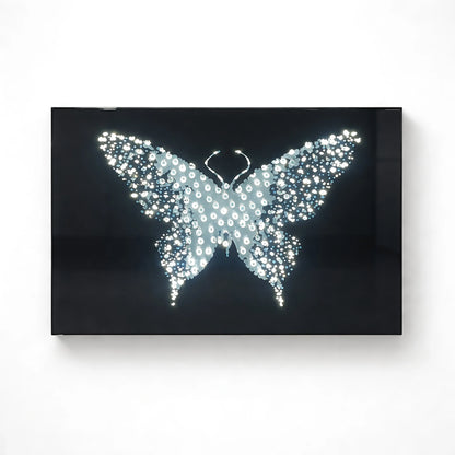Midnight Metamorphosis