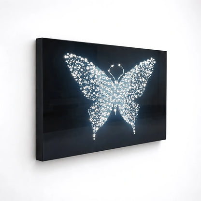 Midnight Metamorphosis
