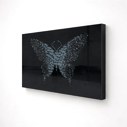 Midnight Metamorphosis