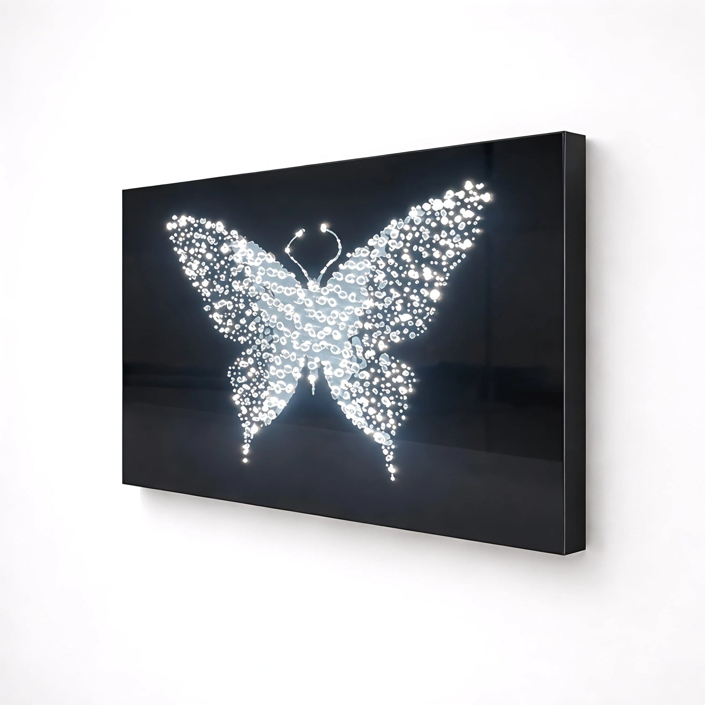 Midnight Metamorphosis