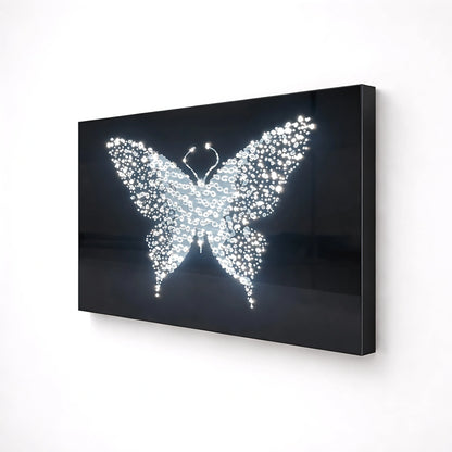Midnight Metamorphosis