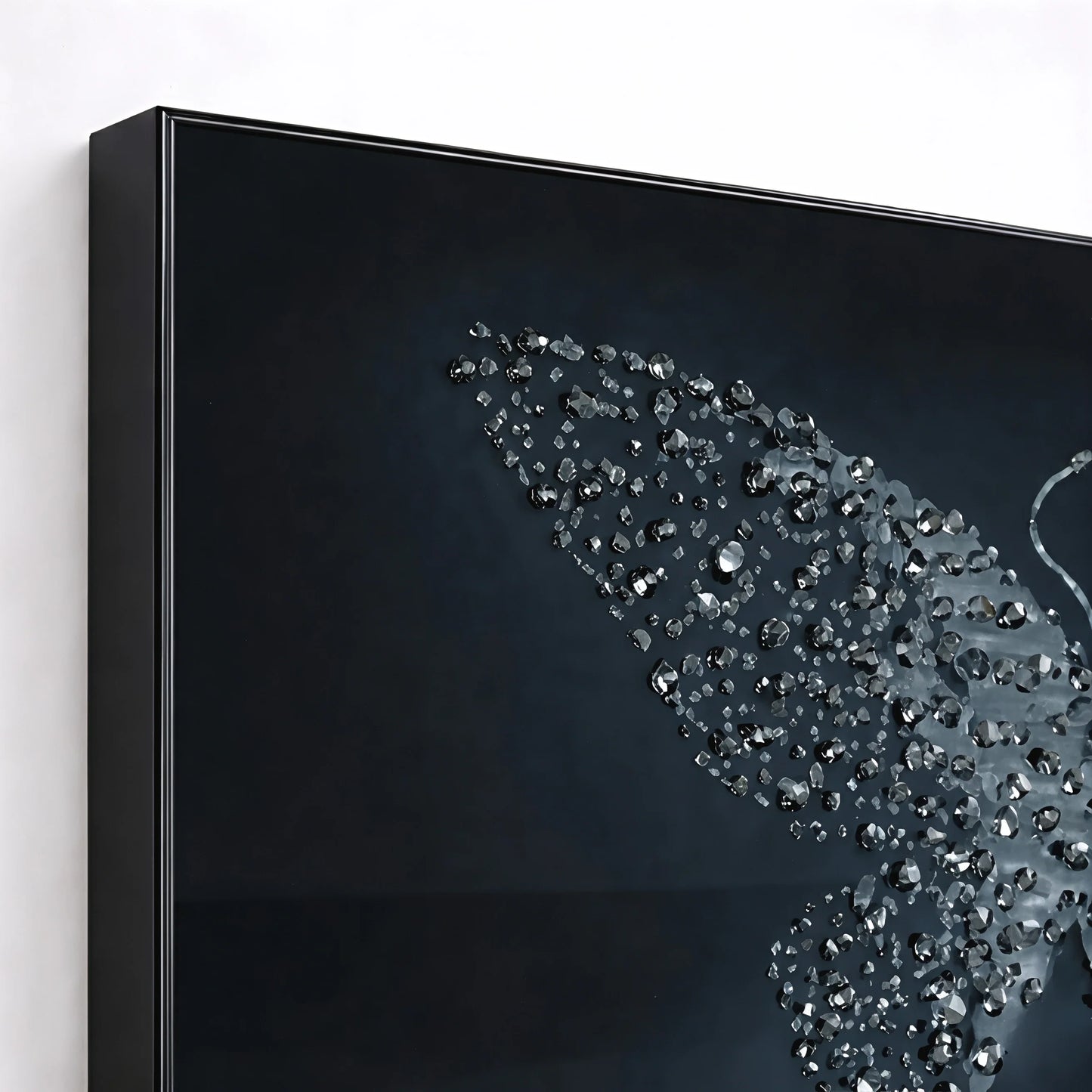 Midnight Metamorphosis