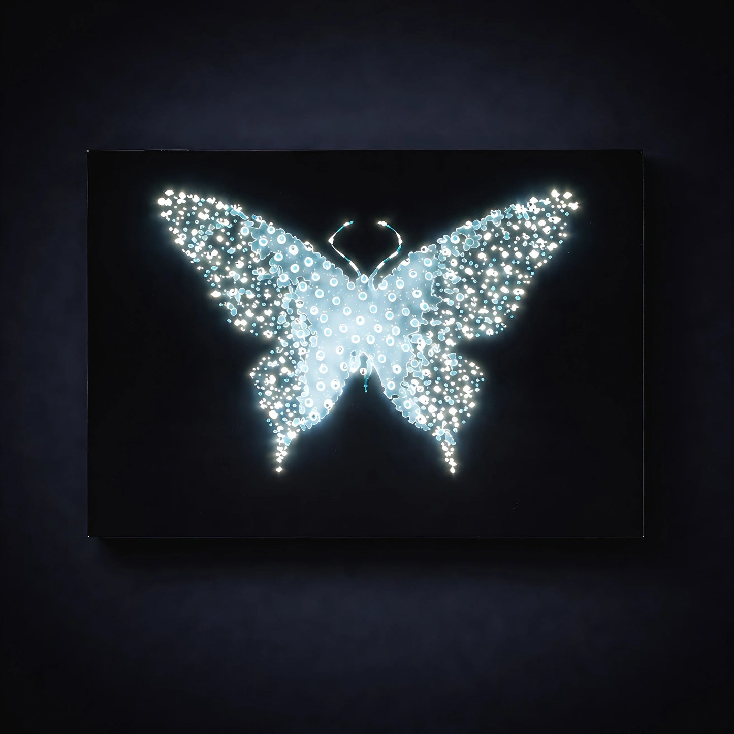 Midnight Metamorphosis