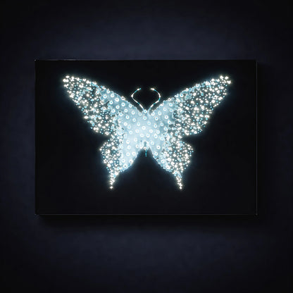 Midnight Metamorphosis