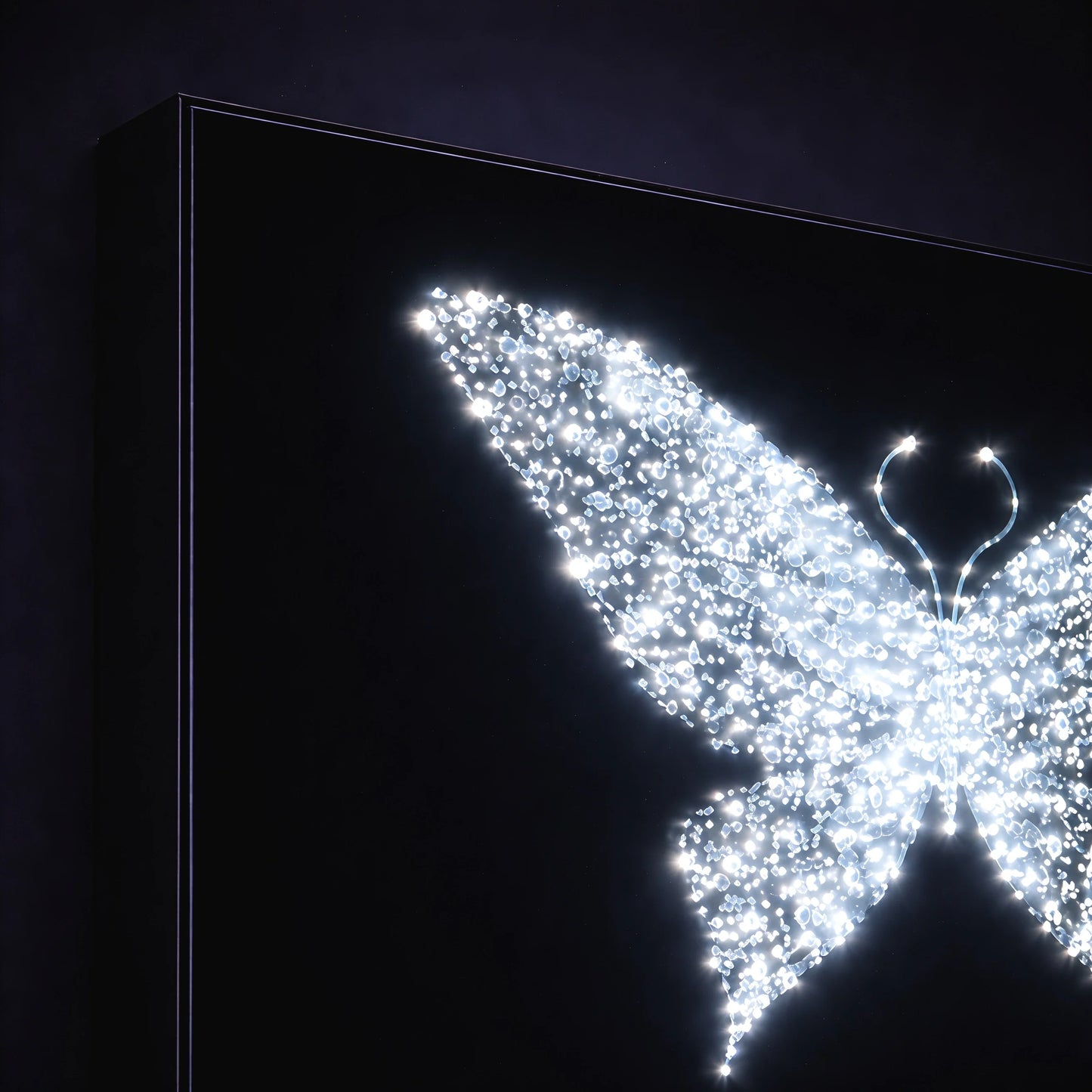 Midnight Metamorphosis