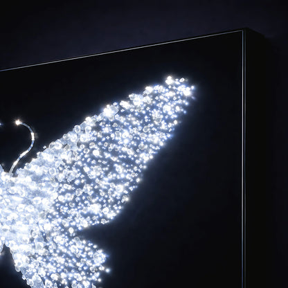 Midnight Metamorphosis