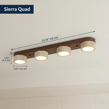 Sierra Stone Spotlight Ceiling Light