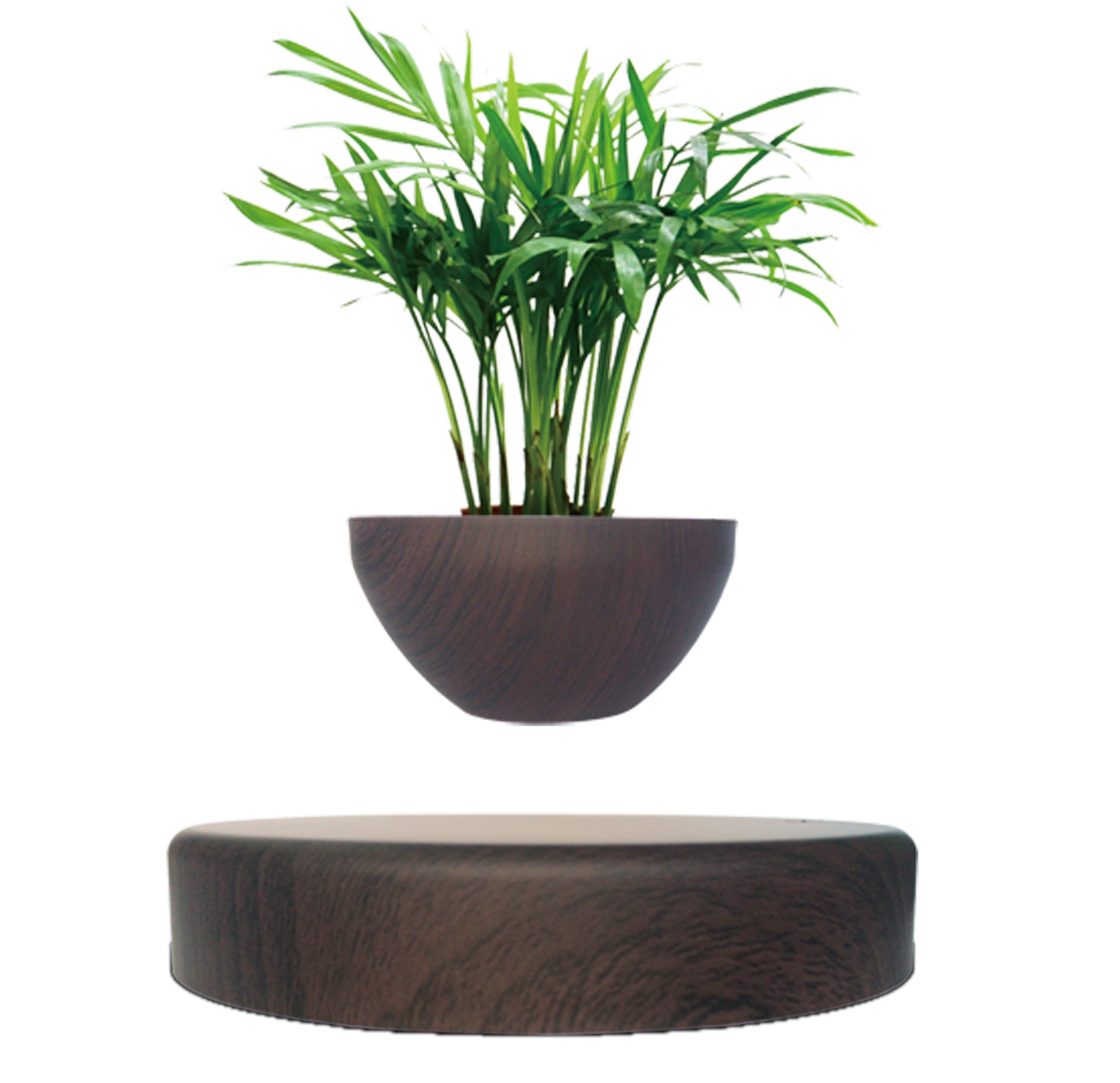 LANGTU Magnetic Levitating Flower Pot