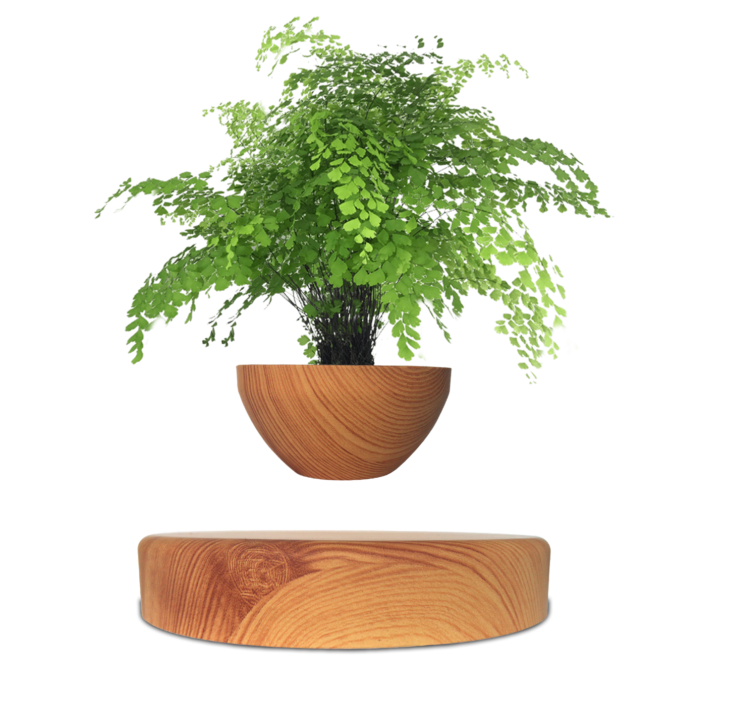 LANGTU Magnetic Levitating Flower Pot