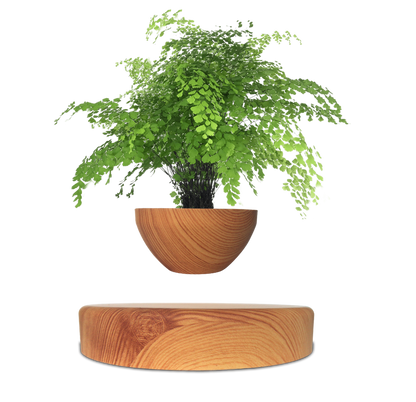 LANGTU Magnetic Levitating Flower Pot