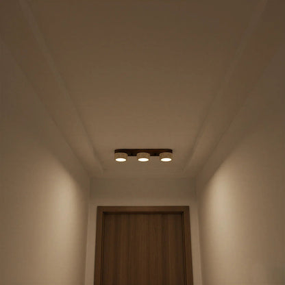Sierra Stone Spotlight Ceiling Light