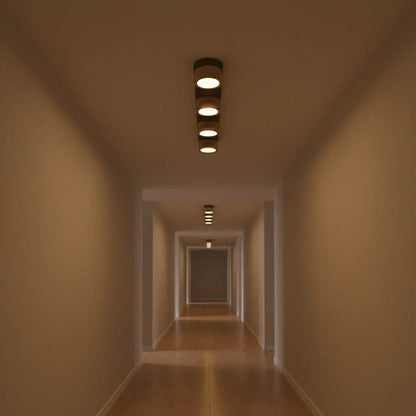 Sierra Stone Spotlight Ceiling Light