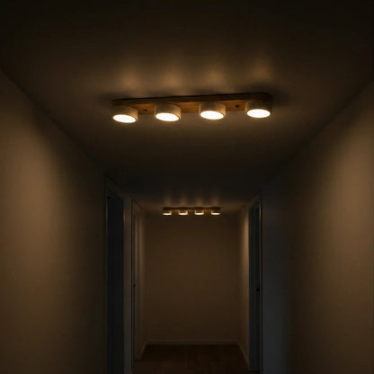 Sierra Stone Spotlight Ceiling Light
