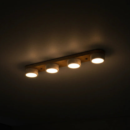Sierra Stone Spotlight Ceiling Light