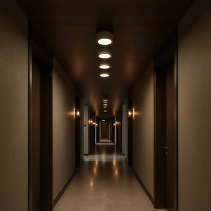 Sierra Stone Spotlight Ceiling Light