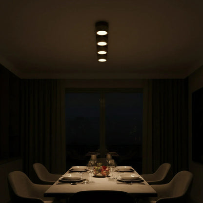 Sierra Stone Spotlight Ceiling Light