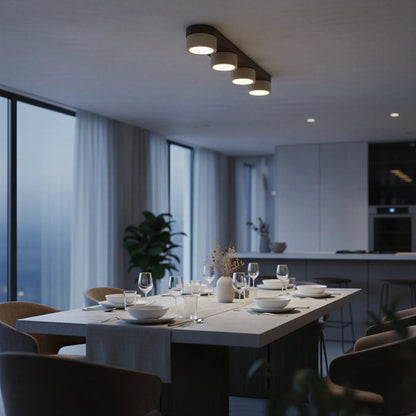 Sierra Stone Spotlight Ceiling Light
