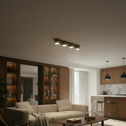 Sierra Stone Spotlight Ceiling Light